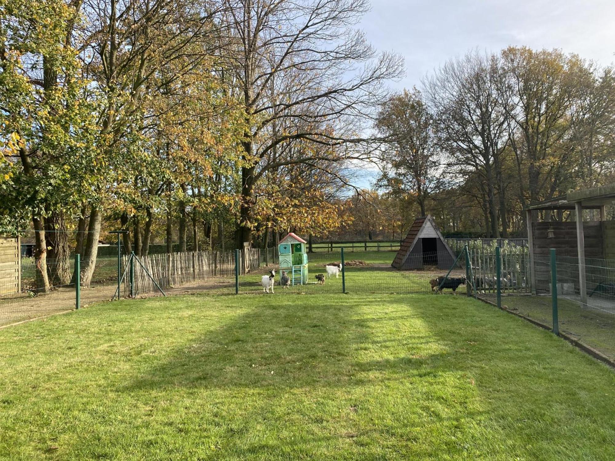 Het Bruegelhof Villa Peer Exterior photo